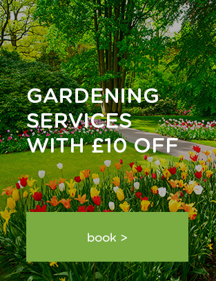  London offer gardening removal service with 10 gbp off call today